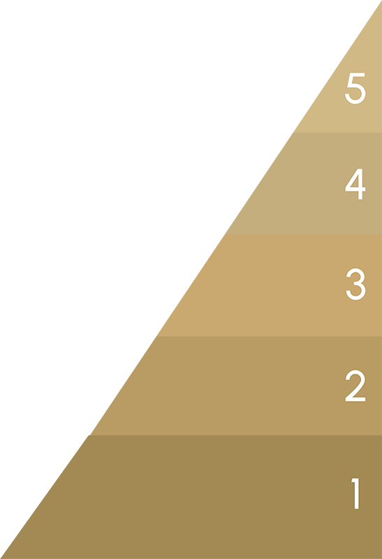Five core pillars incubator